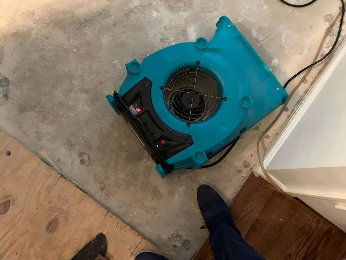 Air mover drying subfloor during Leak Detection & Repair in Fruit Heights